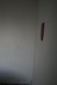 Primed wall with test patch